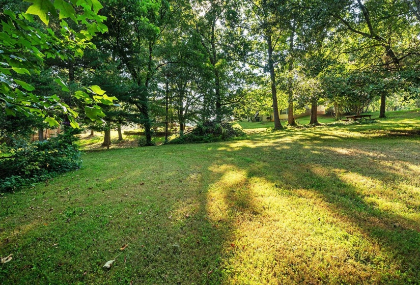 307 HARLAN ST, Greenville, Tennessee 37745, 3 Bedroom Bedrooms, 7 Room Rooms,2 BathroomBathrooms,Residential,For Sale,HARLAN,0,10229468