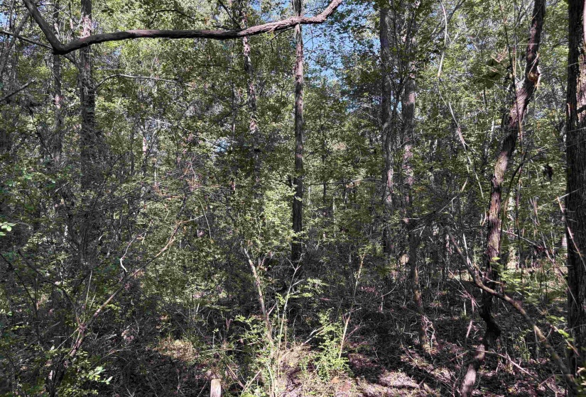 6234 WOODSTOCK CUBA RD, Millington, Tennessee 38053, 0 , 0 ,0,Land,For Sale,WOODSTOCK CUBA,0,10192081
