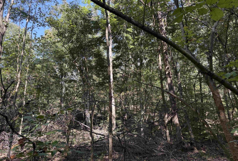 6234 WOODSTOCK CUBA RD, Millington, Tennessee 38053, 0 , 0 ,0,Land,For Sale,WOODSTOCK CUBA,0,10192081