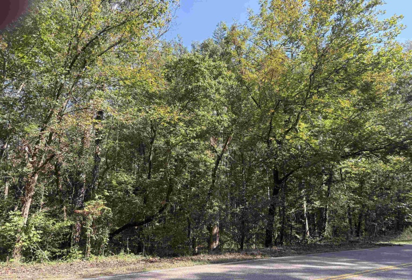 6234 WOODSTOCK CUBA RD, Millington, Tennessee 38053, 0 , 0 ,0,Land,For Sale,WOODSTOCK CUBA,0,10192081