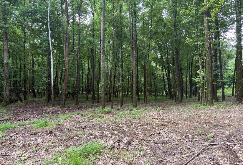0 BILLY MAHER RD, Bartlett, Tennessee 38135, 0 , 0 ,0,Land,For Sale,BILLY MAHER,0,10223508