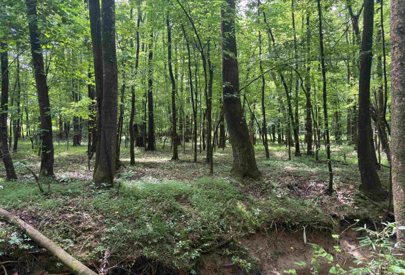 0 BILLY MAHER RD, Bartlett, Tennessee 38135, 0 , 0 ,0,Land,For Sale,BILLY MAHER,0,10223508