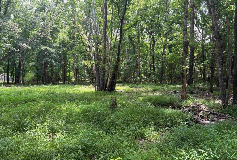0 BILLY MAHER RD, Bartlett, Tennessee 38135, 0 , 0 ,0,Land,For Sale,BILLY MAHER,0,10223508