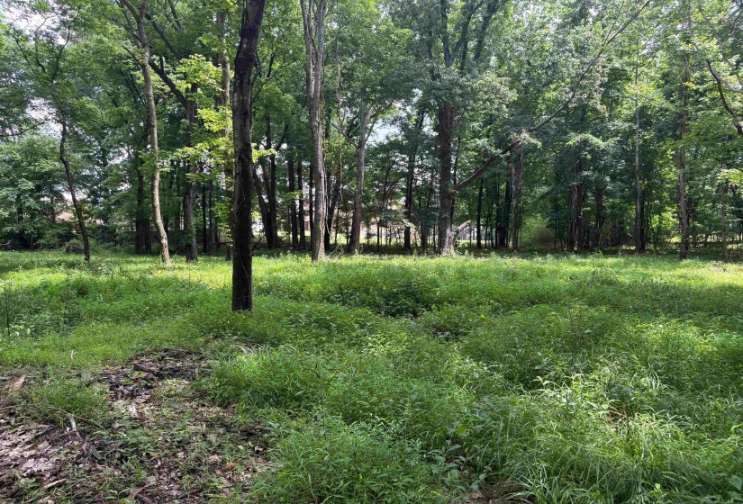 0 BILLY MAHER RD, Bartlett, Tennessee 38135, 0 , 0 ,0,Land,For Sale,BILLY MAHER,0,10223508