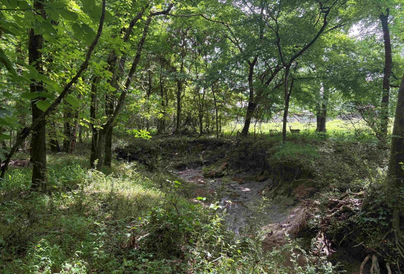 0 BILLY MAHER RD, Bartlett, Tennessee 38135, 0 , 0 ,0,Land,For Sale,BILLY MAHER,0,10223508