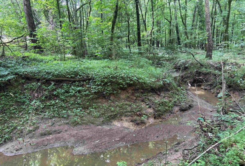 0 BILLY MAHER RD, Bartlett, Tennessee 38135, 0 , 0 ,0,Land,For Sale,BILLY MAHER,0,10223508