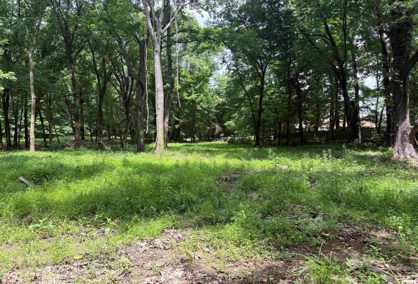 0 BILLY MAHER RD, Bartlett, Tennessee 38135, 0 , 0 ,0,Land,For Sale,BILLY MAHER,0,10223508