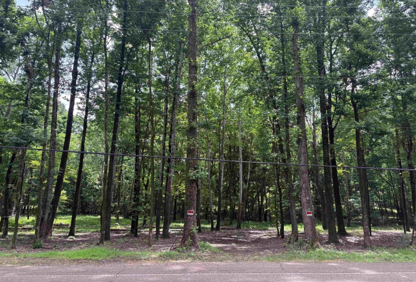 0 BILLY MAHER RD, Bartlett, Tennessee 38135, 0 , 0 ,0,Land,For Sale,BILLY MAHER,0,10223508