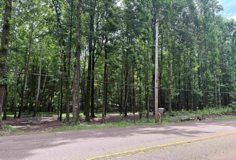 0 BILLY MAHER RD, Bartlett, Tennessee 38135, 0 , 0 ,0,Land,For Sale,BILLY MAHER,0,10223508