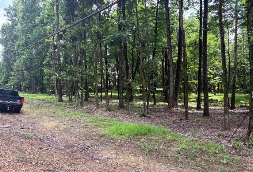 0 BILLY MAHER RD, Bartlett, Tennessee 38135, 0 , 0 ,0,Land,For Sale,BILLY MAHER,0,10223508