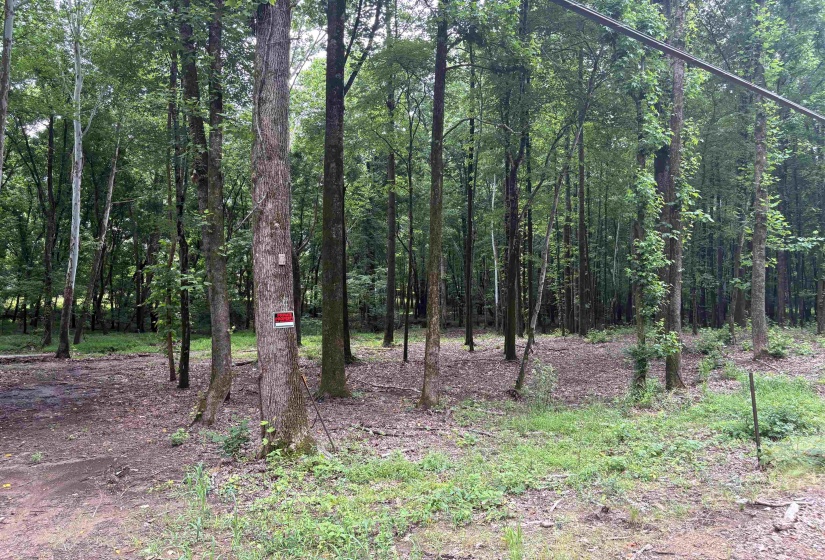0 BILLY MAHER RD, Bartlett, Tennessee 38135, 0 , 0 ,0,Land,For Sale,BILLY MAHER,0,10223508