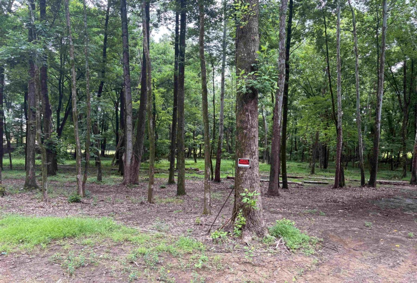 0 BILLY MAHER RD, Bartlett, Tennessee 38135, 0 , 0 ,0,Land,For Sale,BILLY MAHER,0,10223508