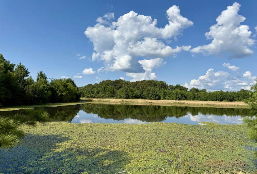 2360 BURNETTE RD, Moscow, Tennessee 38076, 0 , 0 ,0,Land,For Sale,BURNETTE,0,10229490