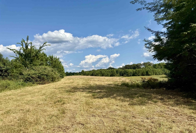 2360 BURNETTE RD, Moscow, Tennessee 38076, 0 , 0 ,0,Land,For Sale,BURNETTE,0,10229490