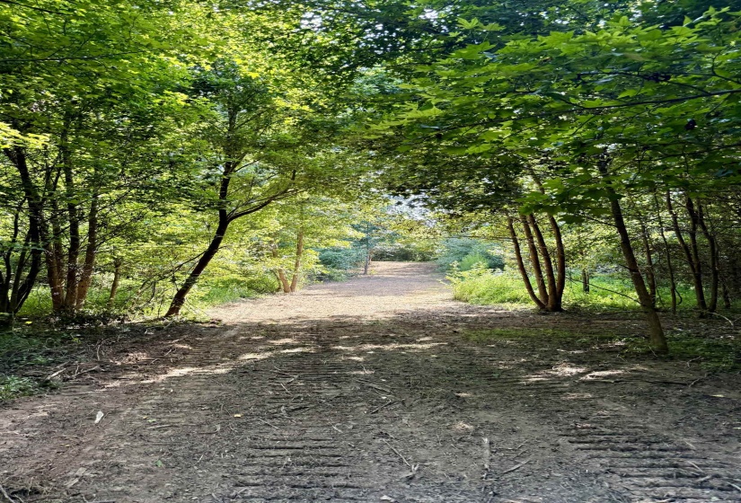 2360 BURNETTE RD, Moscow, Tennessee 38076, 0 , 0 ,0,Land,For Sale,BURNETTE,0,10229490