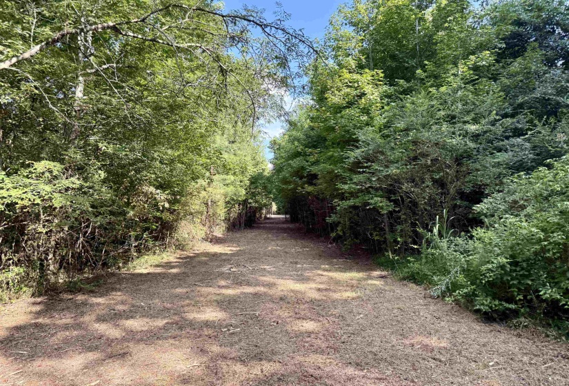 2360 BURNETTE RD, Moscow, Tennessee 38076, 0 , 0 ,0,Land,For Sale,BURNETTE,0,10229490