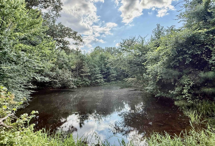 2360 BURNETTE RD, Moscow, Tennessee 38076, 0 , 0 ,0,Land,For Sale,BURNETTE,0,10229490