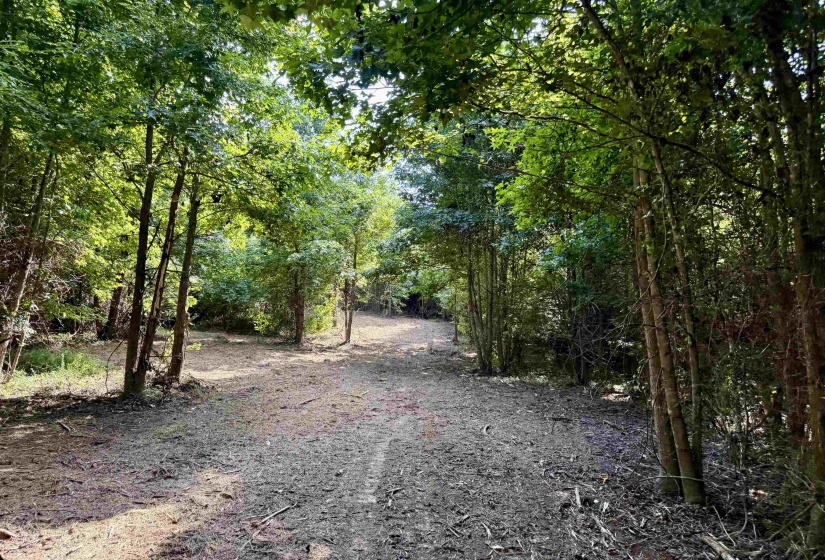 2360 BURNETTE RD, Moscow, Tennessee 38076, 0 , 0 ,0,Land,For Sale,BURNETTE,0,10229490