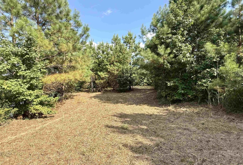 2360 BURNETTE RD, Moscow, Tennessee 38076, 0 , 0 ,0,Land,For Sale,BURNETTE,0,10229490