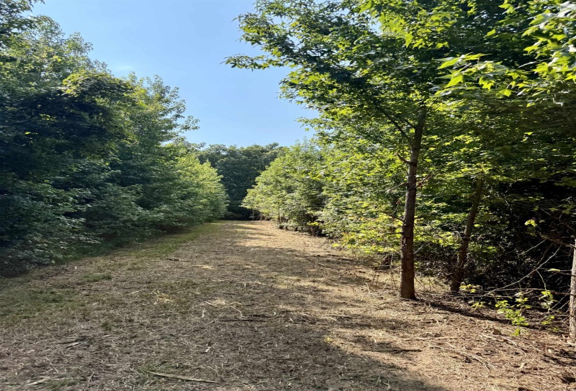 2360 BURNETTE RD, Moscow, Tennessee 38076, 0 , 0 ,0,Land,For Sale,BURNETTE,0,10229490