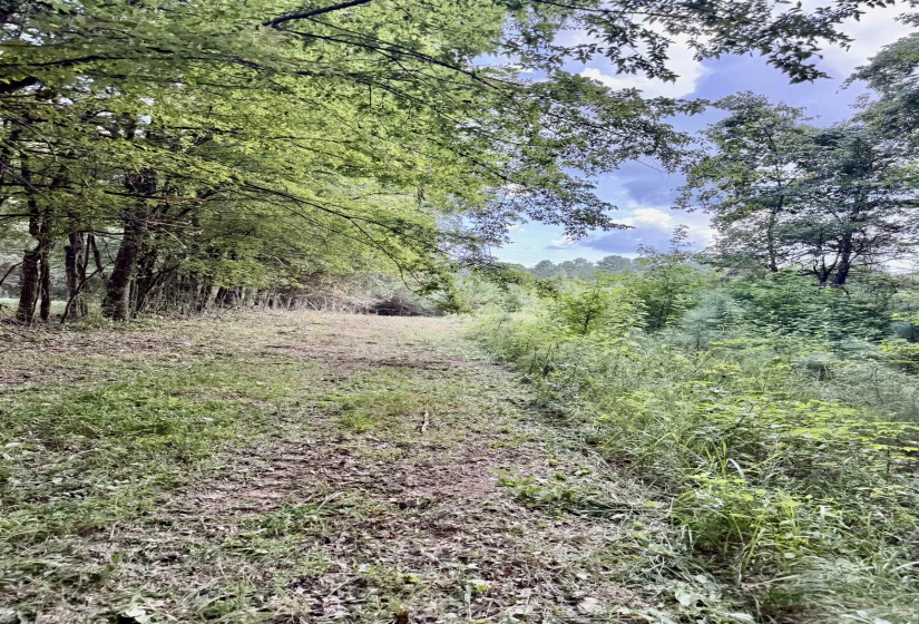 2360 BURNETTE RD, Moscow, Tennessee 38076, 0 , 0 ,0,Land,For Sale,BURNETTE,0,10229490