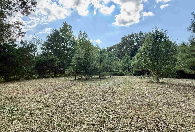 2360 BURNETTE RD, Moscow, Tennessee 38076, 0 , 0 ,0,Land,For Sale,BURNETTE,0,10229490