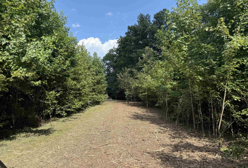 2360 BURNETTE RD, Moscow, Tennessee 38076, 0 , 0 ,0,Land,For Sale,BURNETTE,0,10229490