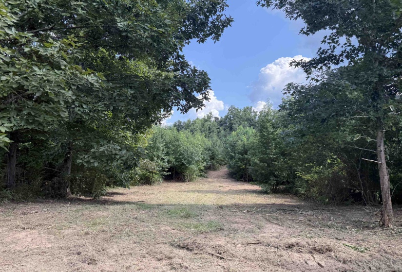 2360 BURNETTE RD, Moscow, Tennessee 38076, 0 , 0 ,0,Land,For Sale,BURNETTE,0,10229490