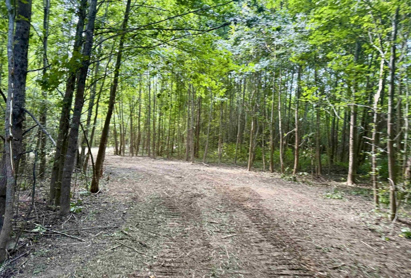 2360 BURNETTE RD, Moscow, Tennessee 38076, 0 , 0 ,0,Land,For Sale,BURNETTE,0,10229490