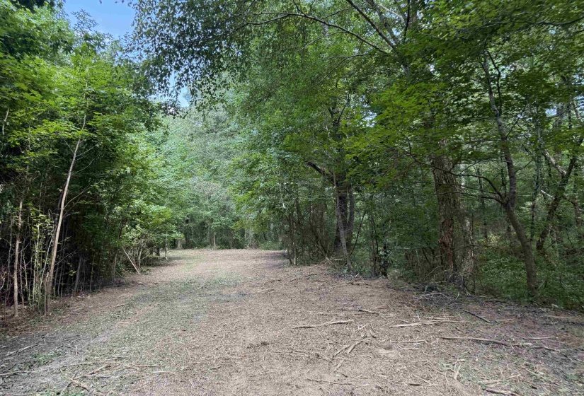 2360 BURNETTE RD, Moscow, Tennessee 38076, 0 , 0 ,0,Land,For Sale,BURNETTE,0,10229490