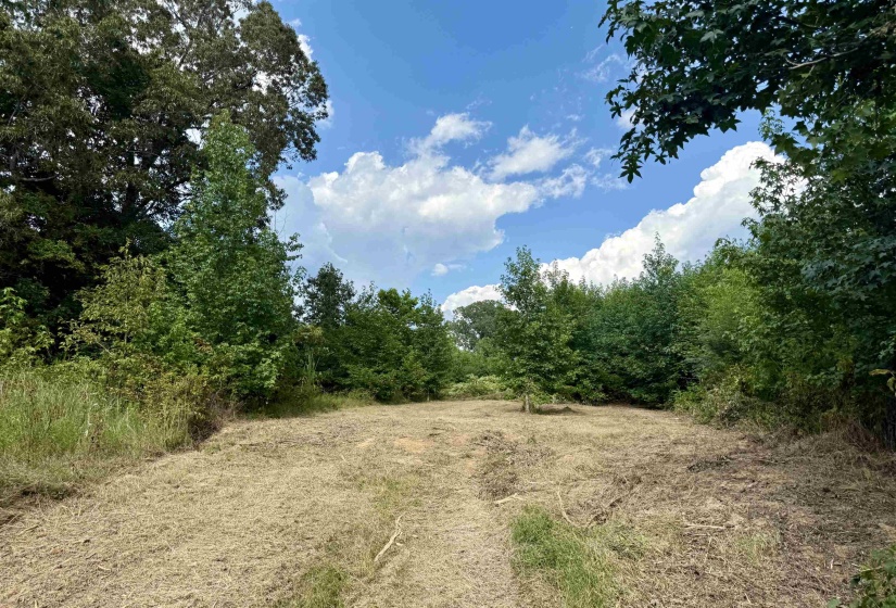 2360 BURNETTE RD, Moscow, Tennessee 38076, 0 , 0 ,0,Land,For Sale,BURNETTE,0,10229490