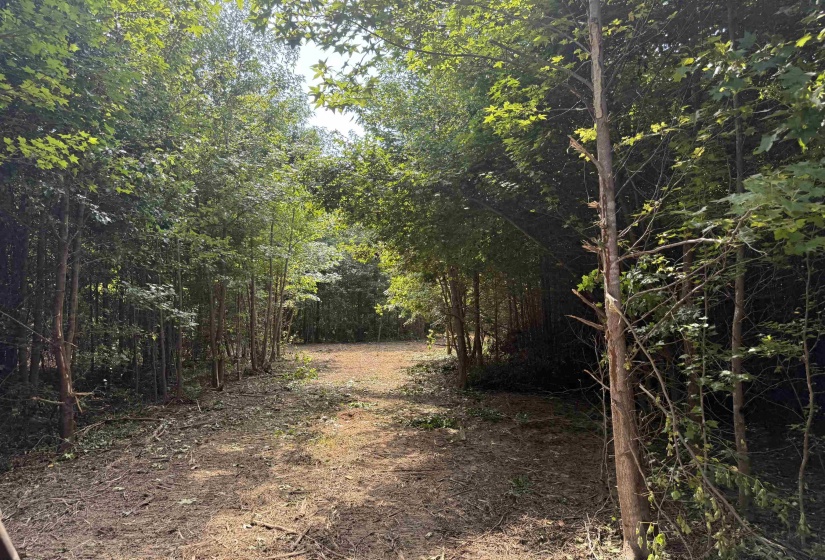 2360 BURNETTE RD, Moscow, Tennessee 38076, 0 , 0 ,0,Land,For Sale,BURNETTE,0,10229490