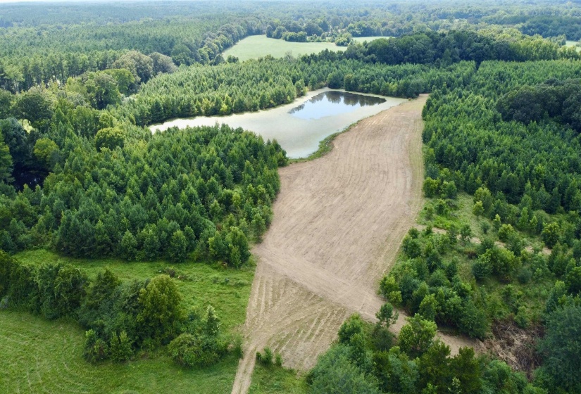 2360 BURNETTE RD, Moscow, Tennessee 38076, 0 , 0 ,0,Land,For Sale,BURNETTE,0,10229490