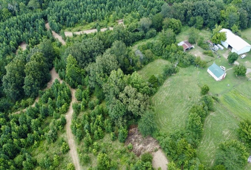 2360 BURNETTE RD, Moscow, Tennessee 38076, 0 , 0 ,0,Land,For Sale,BURNETTE,0,10229490