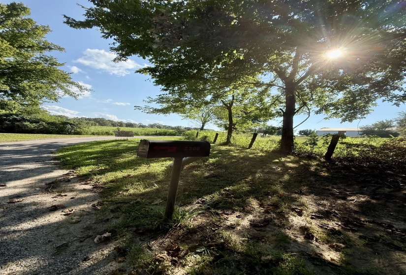 2360 BURNETTE RD, Moscow, Tennessee 38076, 0 , 0 ,0,Land,For Sale,BURNETTE,0,10229490