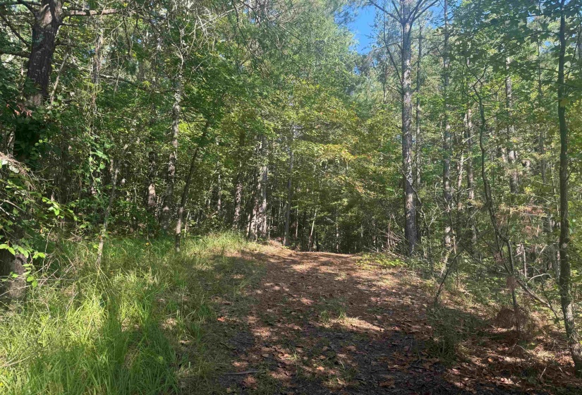 0 PREACHER DR, Counce, Tennessee 38326, 0 , 0 ,0,Land,For Sale,PREACHER,0,10229518