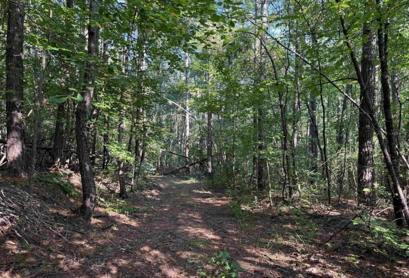 0 PREACHER DR, Counce, Tennessee 38326, 0 , 0 ,0,Land,For Sale,PREACHER,0,10229518