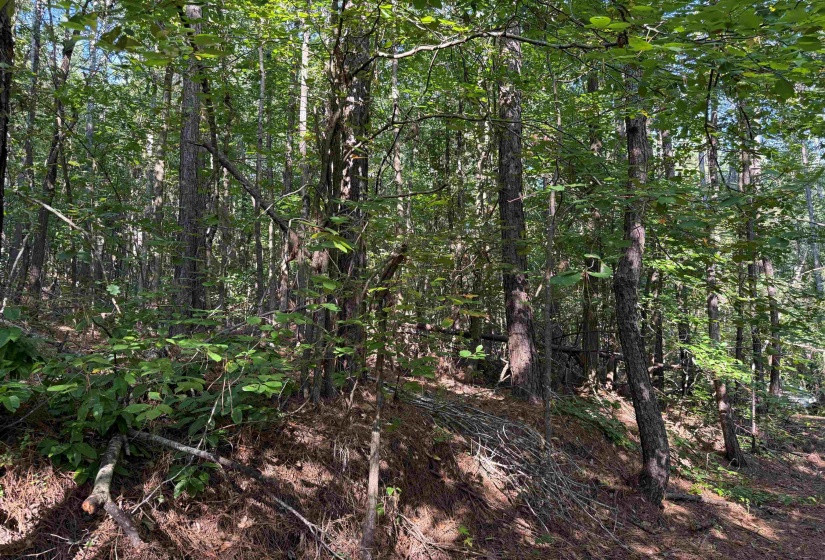 0 PREACHER DR, Counce, Tennessee 38326, 0 , 0 ,0,Land,For Sale,PREACHER,0,10229518