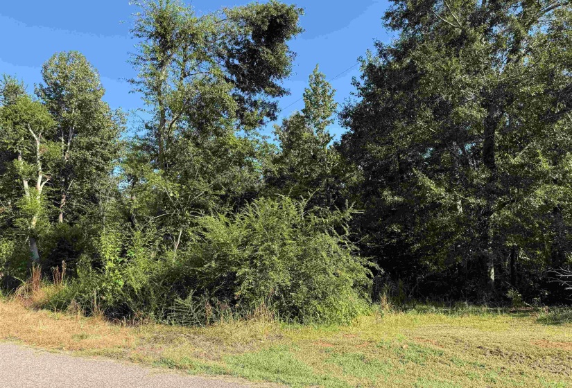 0 PREACHER DR, Counce, Tennessee 38326, 0 , 0 ,0,Land,For Sale,PREACHER,0,10229518