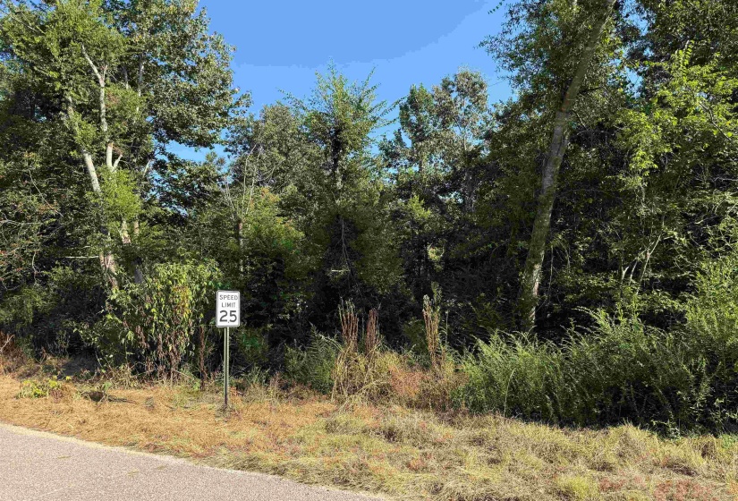0 PREACHER DR, Counce, Tennessee 38326, 0 , 0 ,0,Land,For Sale,PREACHER,0,10229518