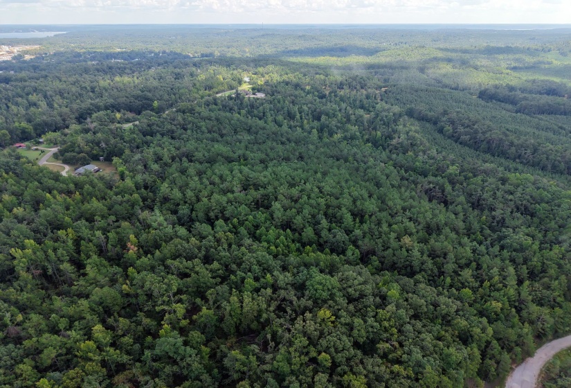 0 PREACHER DR, Counce, Tennessee 38326, 0 , 0 ,0,Land,For Sale,PREACHER,0,10229518