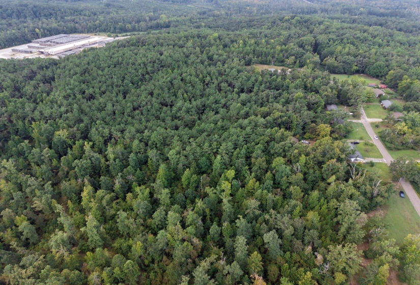 0 PREACHER DR, Counce, Tennessee 38326, 0 , 0 ,0,Land,For Sale,PREACHER,0,10229518