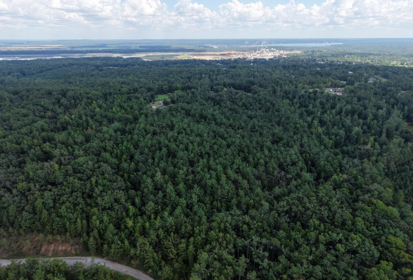 0 PREACHER DR, Counce, Tennessee 38326, 0 , 0 ,0,Land,For Sale,PREACHER,0,10229518