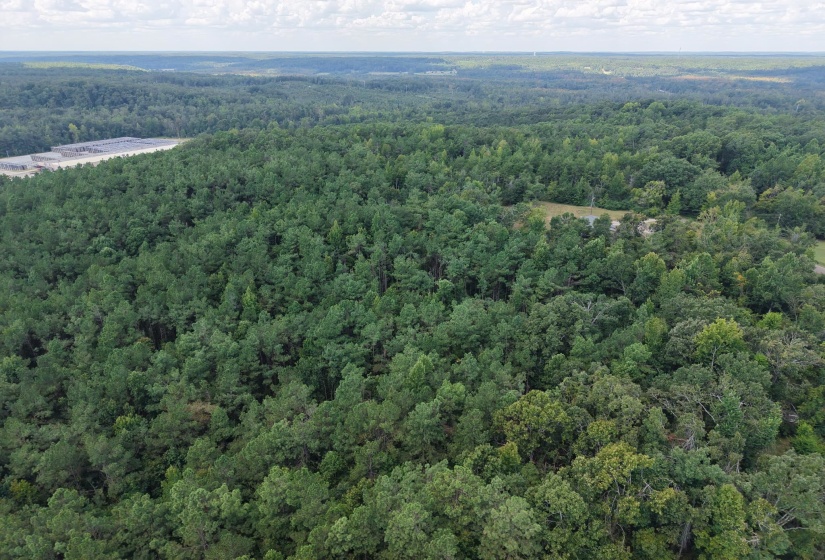 0 PREACHER DR, Counce, Tennessee 38326, 0 , 0 ,0,Land,For Sale,PREACHER,0,10229518