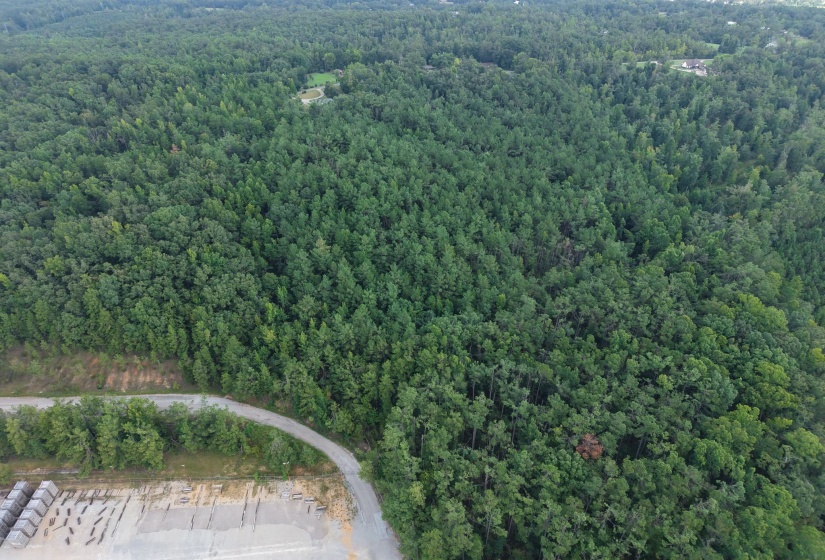 0 PREACHER DR, Counce, Tennessee 38326, 0 , 0 ,0,Land,For Sale,PREACHER,0,10229518