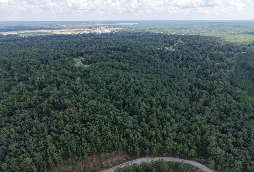 0 PREACHER DR, Counce, Tennessee 38326, 0 , 0 ,0,Land,For Sale,PREACHER,0,10229518