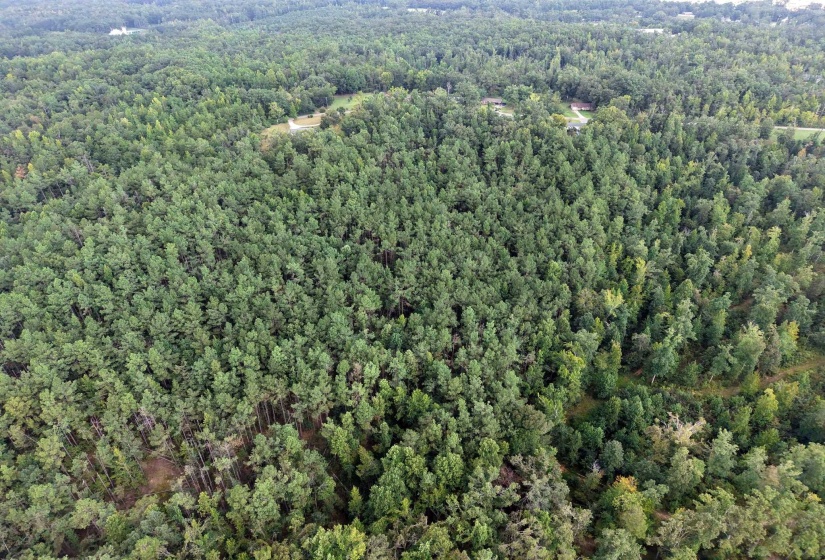 0 PREACHER DR, Counce, Tennessee 38326, 0 , 0 ,0,Land,For Sale,PREACHER,0,10229518