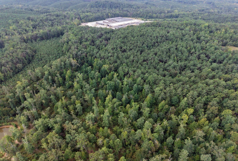 0 PREACHER DR, Counce, Tennessee 38326, 0 , 0 ,0,Land,For Sale,PREACHER,0,10229518