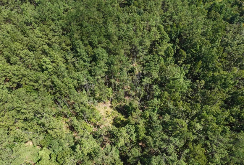 0 PREACHER DR, Counce, Tennessee 38326, 0 , 0 ,0,Land,For Sale,PREACHER,0,10229518