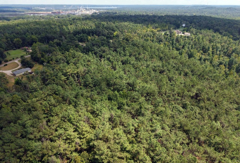 0 PREACHER DR, Counce, Tennessee 38326, 0 , 0 ,0,Land,For Sale,PREACHER,0,10229518